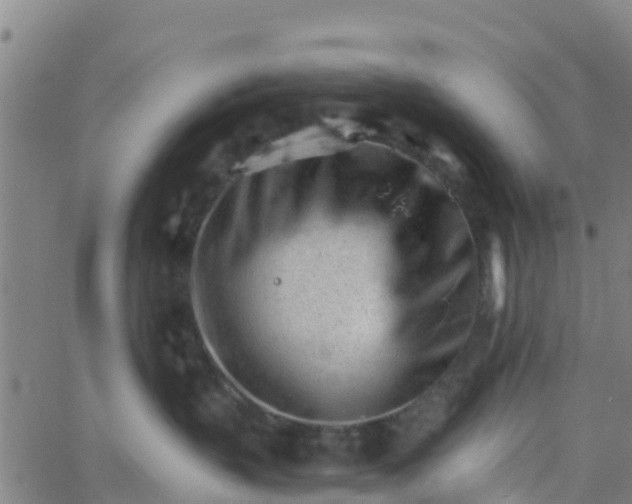 X0000066080383200603311941