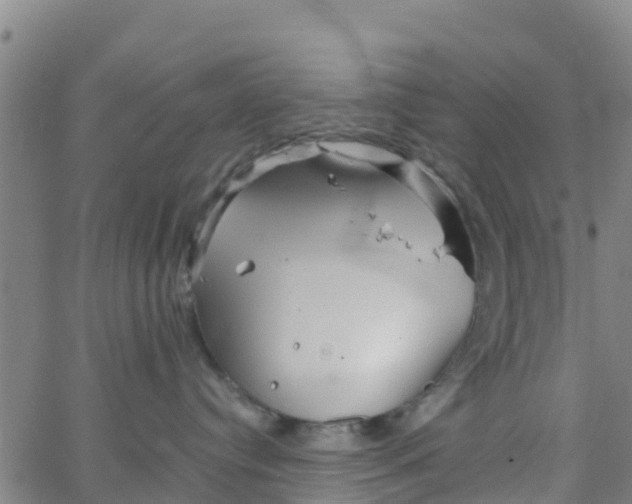 X0000066080384200603311941