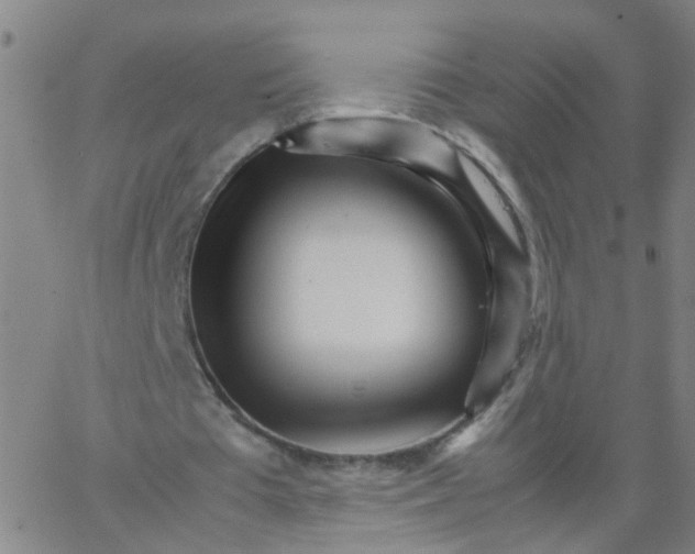 X0000066080385200603311940