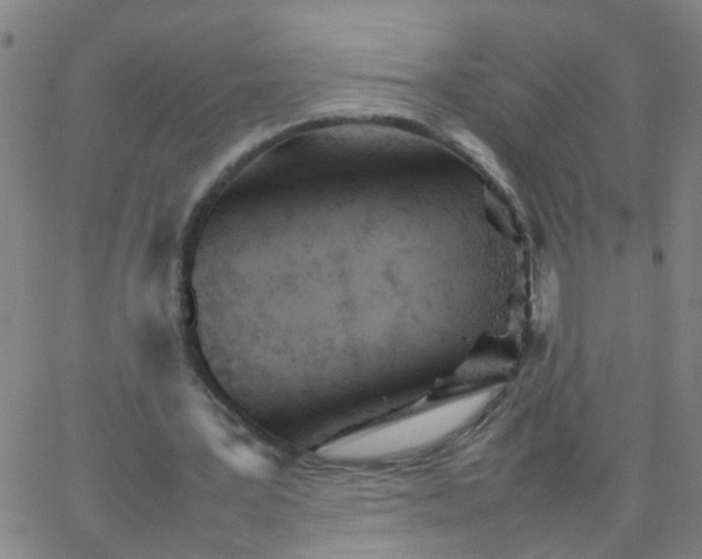 X0000066080387200603311940