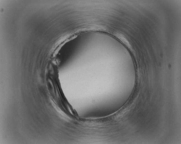 X0000066080389200603311940