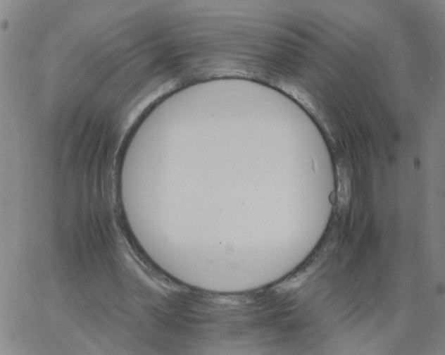 X0000066080390200603311940