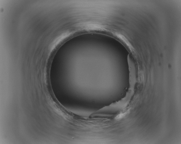 X0000066080391200603311940