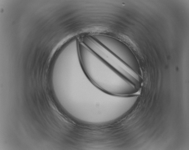 X0000066080392200603311940