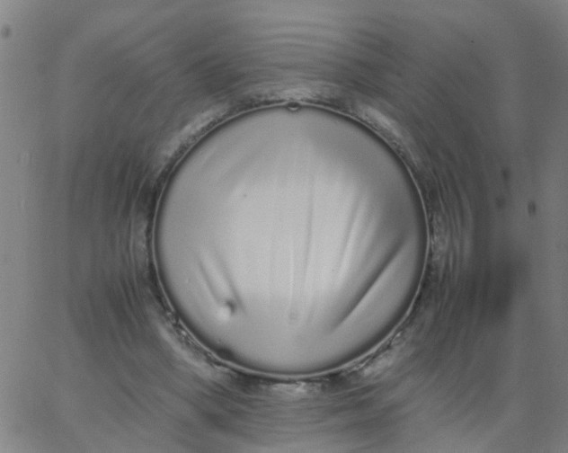 X0000066080394200603311940