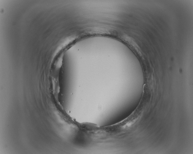 X0000066080395200603311940