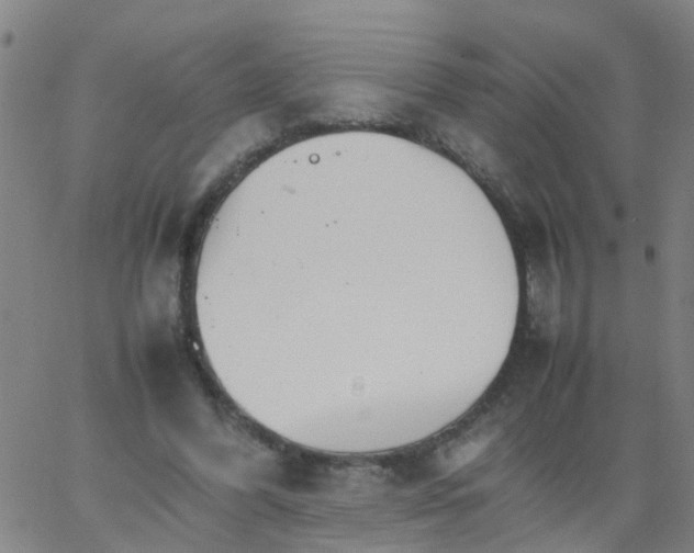 X0000066080396200603311940