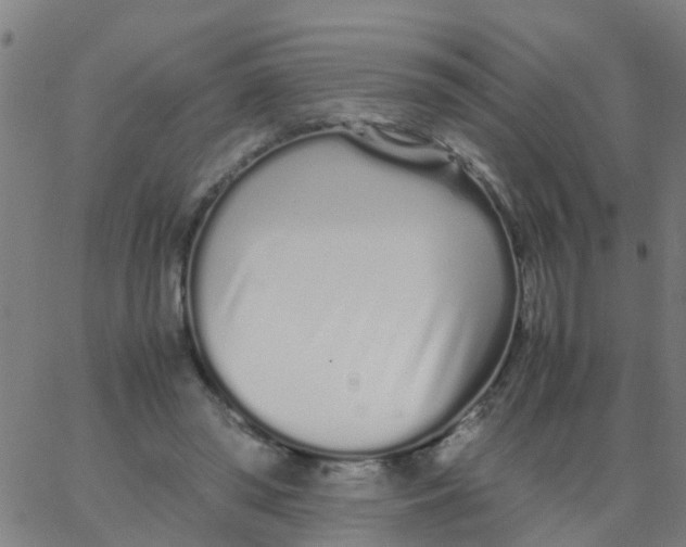 X0000066080398200603311940