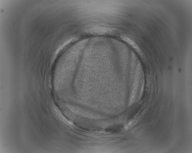 X0000066080399200603311940