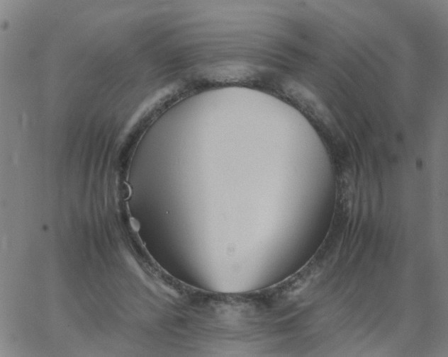 X0000066080400200603311940