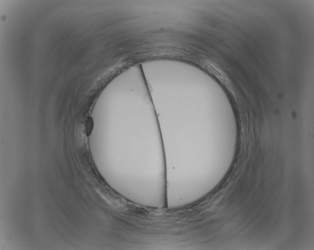 X0000066080401200603311940