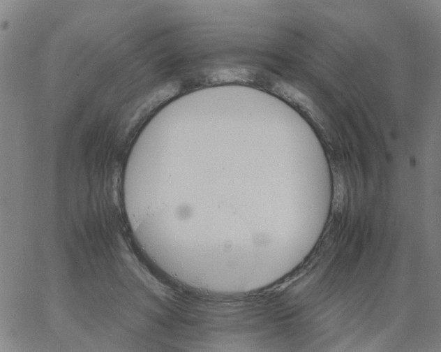 X0000066080402200603311940