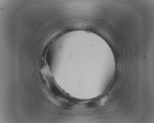 X0000066080403200603311940