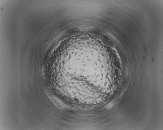 X0000066080405200603311940