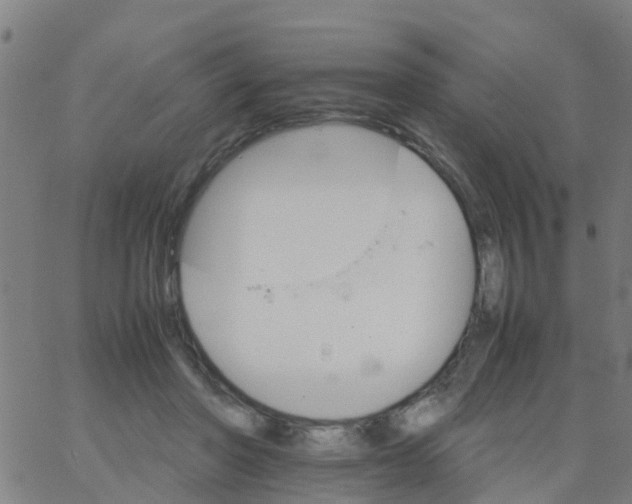 X0000066080406200603311940