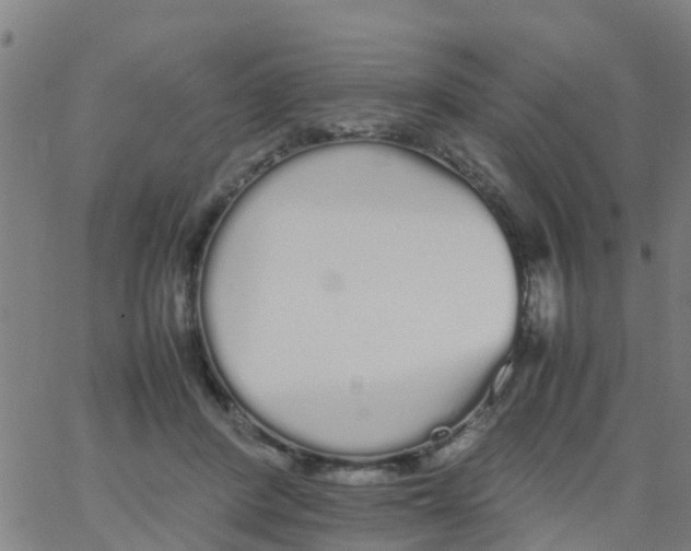 X0000066080408200603311940