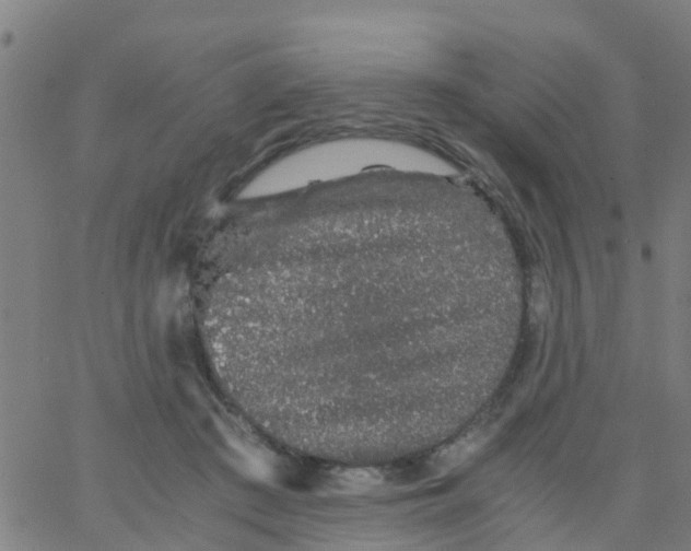 X0000066080409200603311940