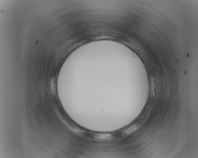 X0000066080410200603311940