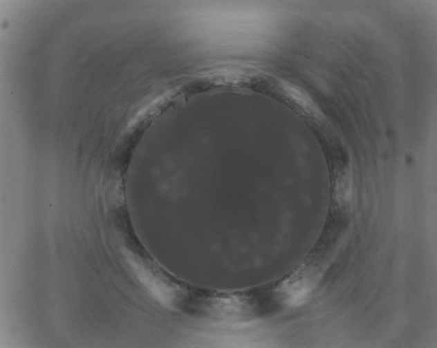 X0000066080411200603311940