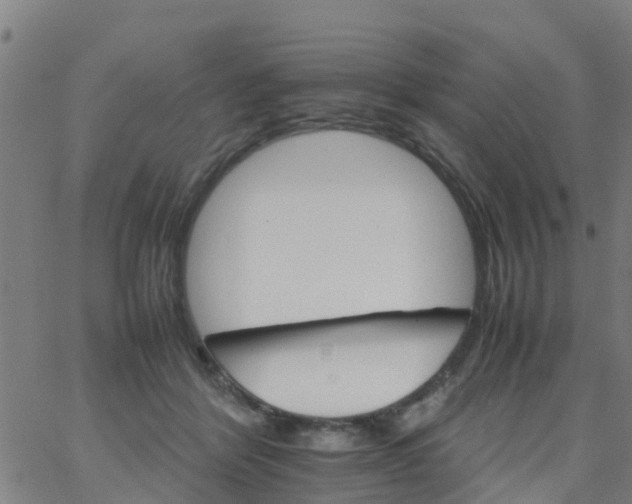 X0000066080412200603311940