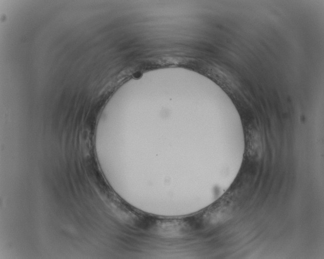 X0000066080414200603311940