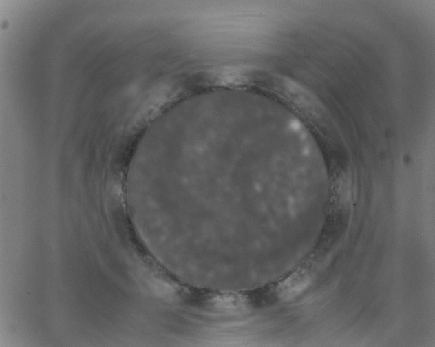 X0000066080415200603311940