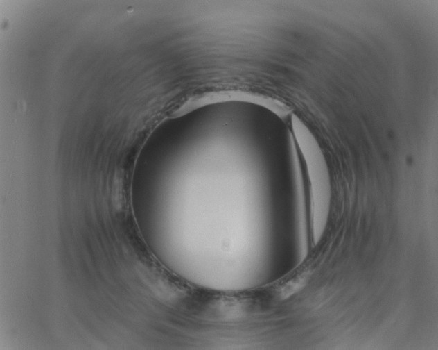 X0000066080416200603311940