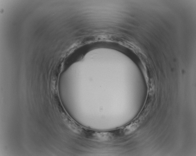 X0000066080417200603311940