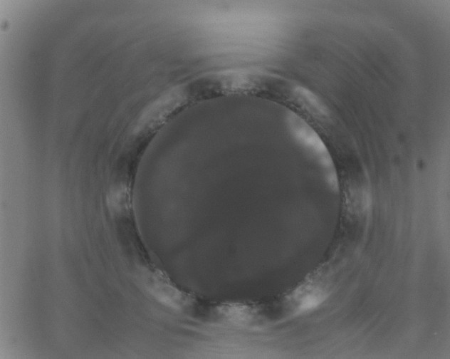 X0000066080419200603311940