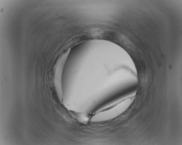 X0000066080421200603311940