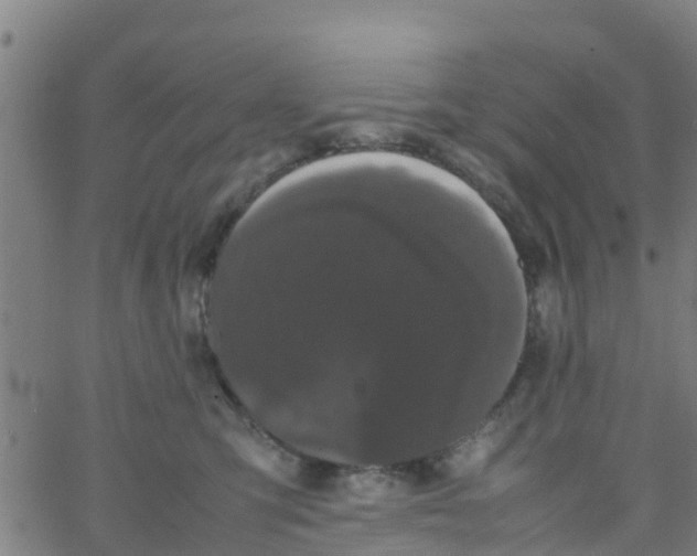 X0000066080423200603311940