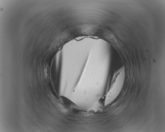 X0000066080424200603311940