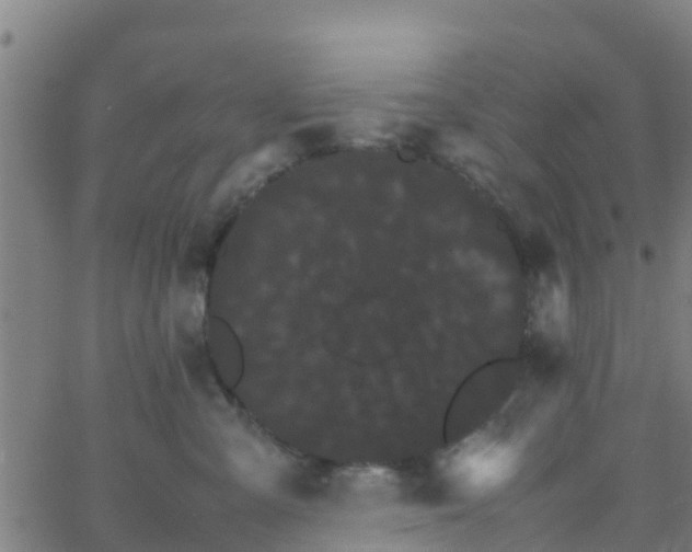 X0000066080427200603311940