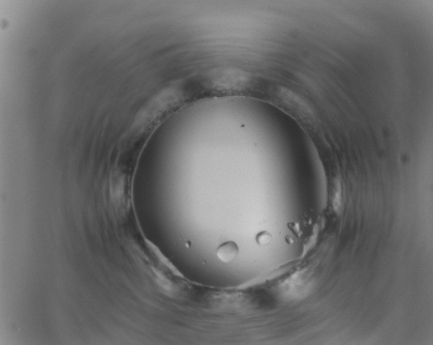 X0000066080428200603311940