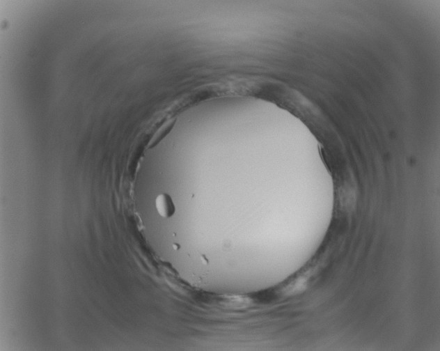 X0000066080429200603311940