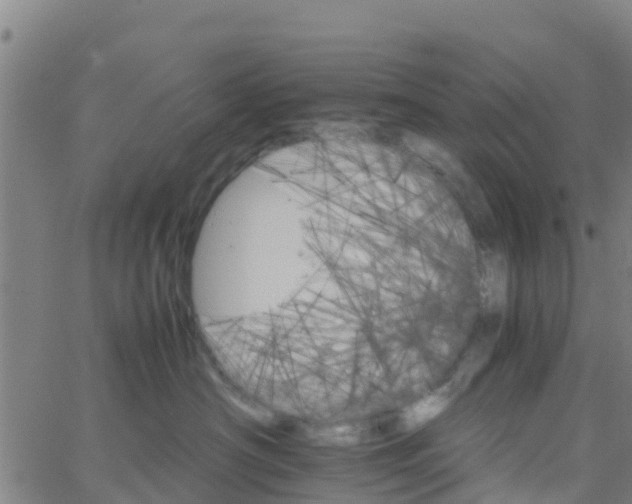 X0000066080430200603311940