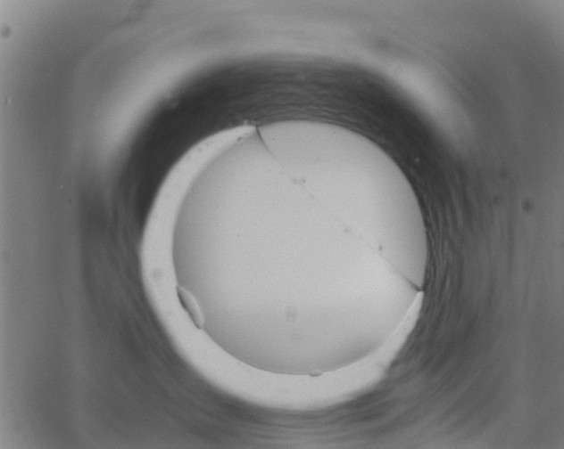 X0000066080431200603311940