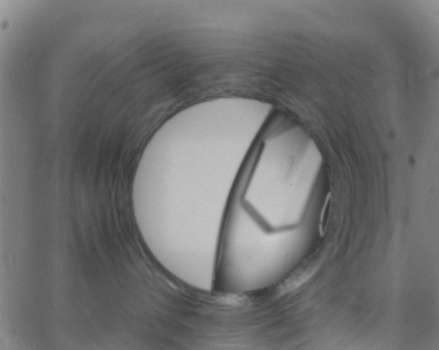 X0000066080432200603311940