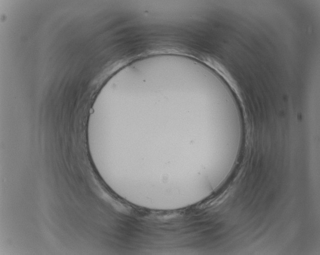 X0000066080433200603311939