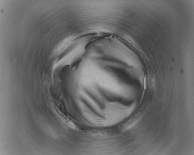 X0000066080434200603311939