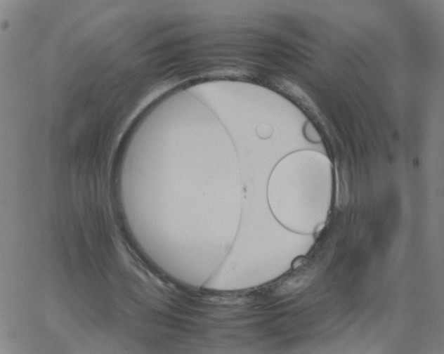 X0000066080435200603311939