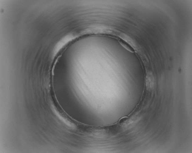 X0000066080438200603311939