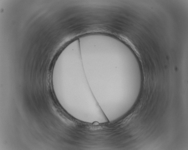 X0000066080439200603311939