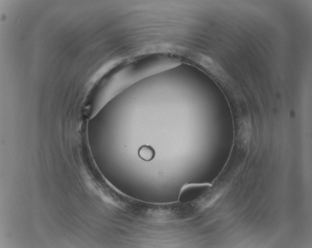 X0000066080440200603311939