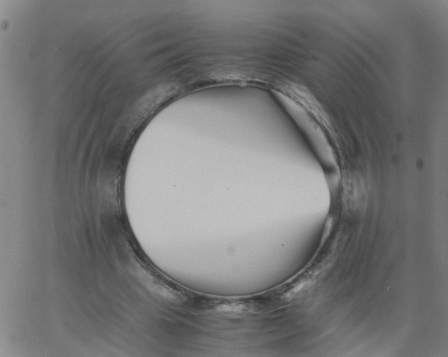 X0000066080441200603311939