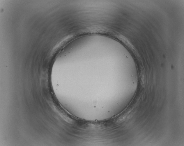 X0000066080442200603311939