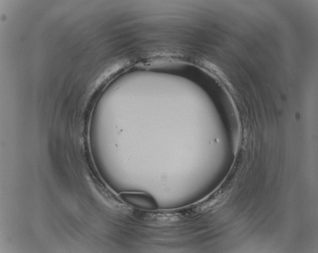 X0000066080443200603311939