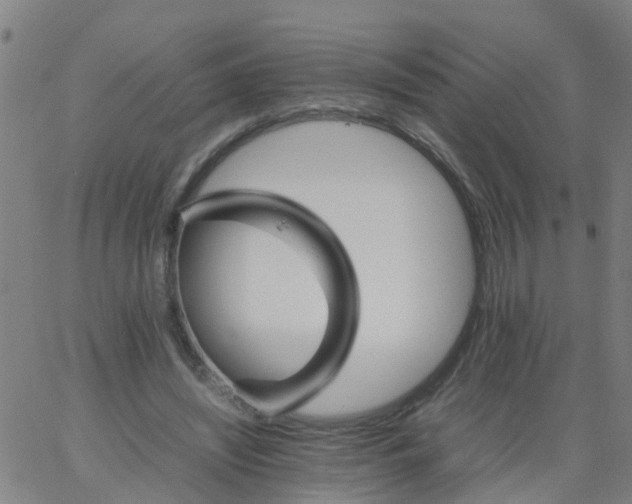 X0000066080444200603311939