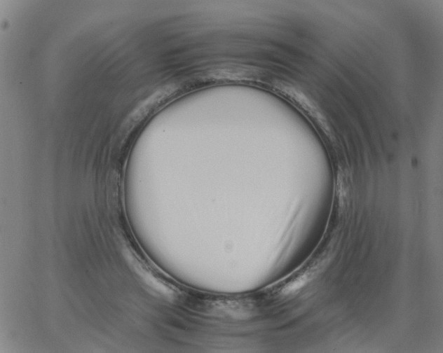 X0000066080445200603311939