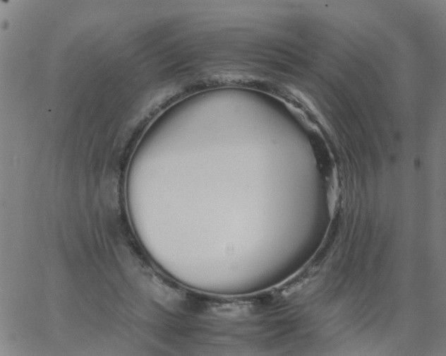 X0000066080447200603311939